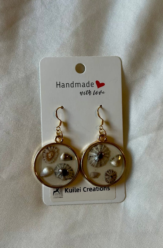 14K Gold Filled Opihi Cone Shell Earrings