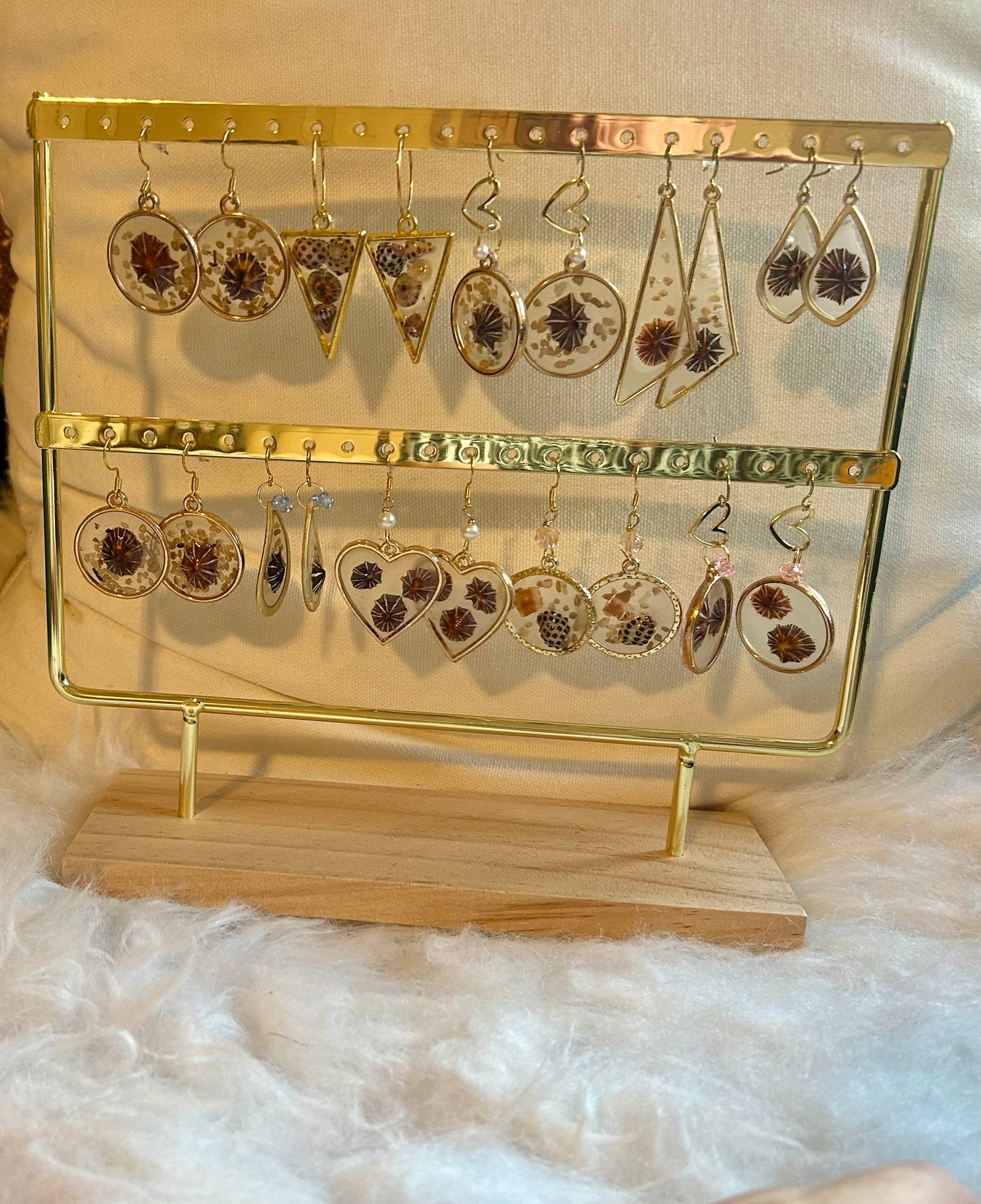 Opihi and Mini Shell Earrings set in Resin 14 K gold fill
