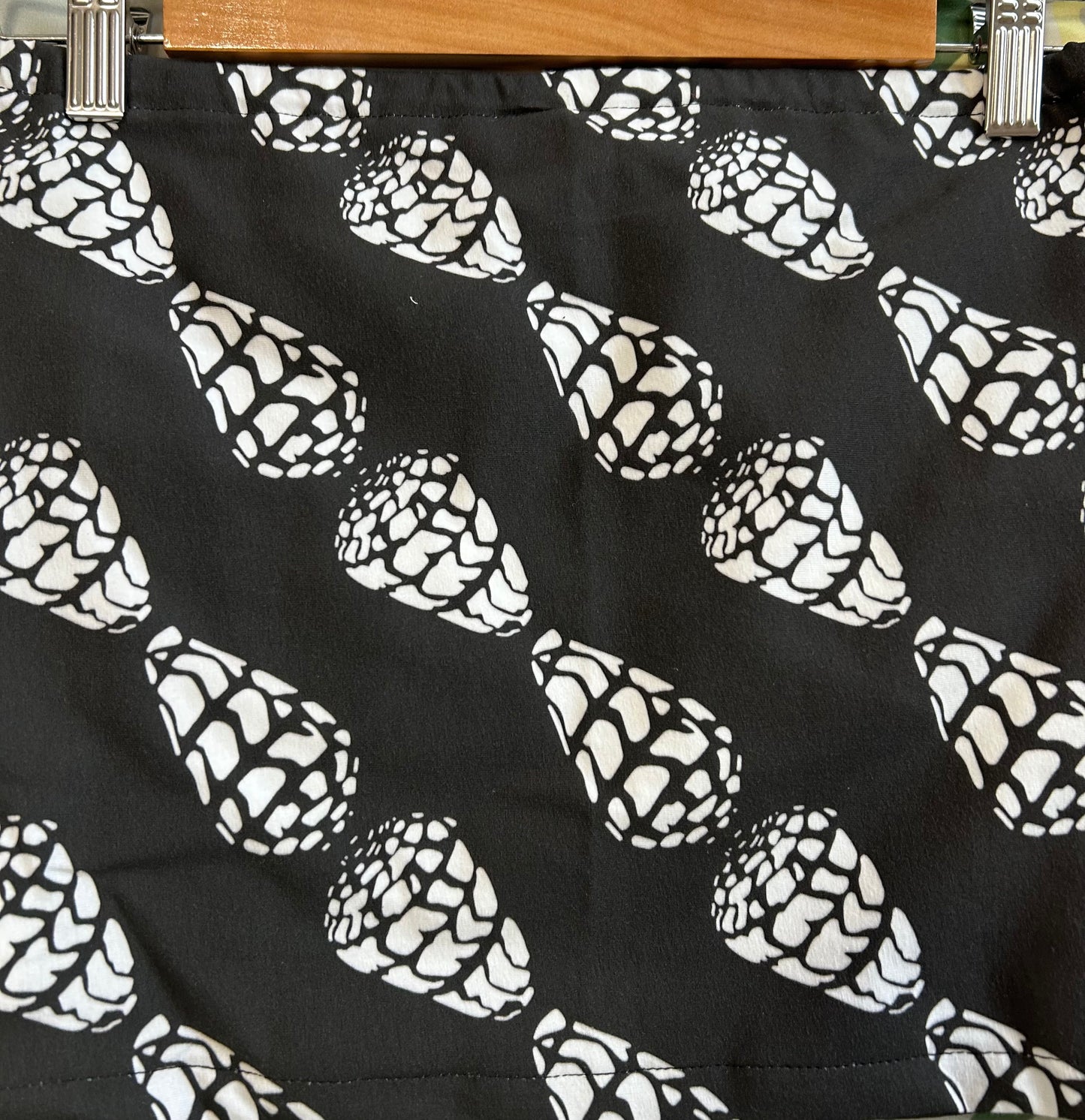 Diagonal Hebrew Cone Shells